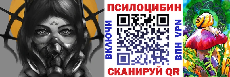 Псилоцибиновые грибы Psilocybe  hydra как войти  Мензелинск  где найти  
